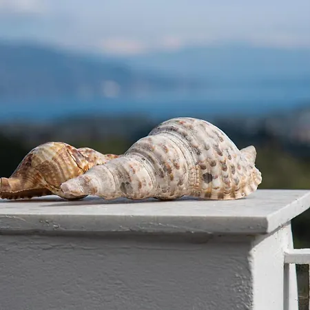 Villataliki Willa